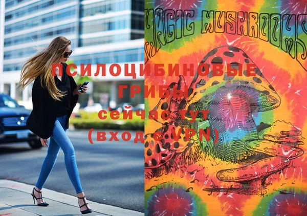 молекула духа Балахна