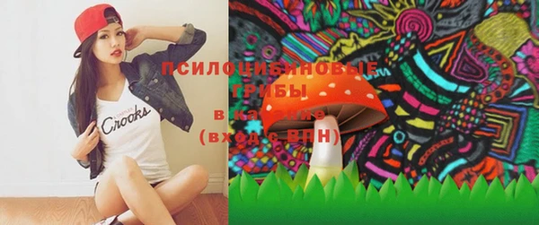 ПСИЛОЦИБИНОВЫЕ ГРИБЫ Аркадак